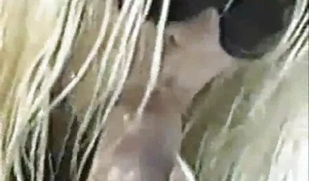 Thiếu sex nhật vú to Niên